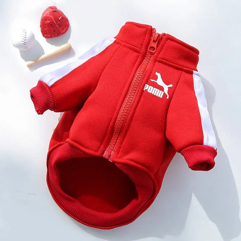 Red dog hoodie with Puma logo on white background.