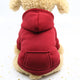 Red hoodie on a teddy bear with white background.