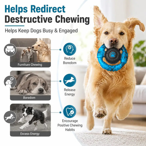 Infographic demonstrating how the tough ring toy reduces furniture chewing, boredom, and excess energy for Golden Retrievers and Beagles.