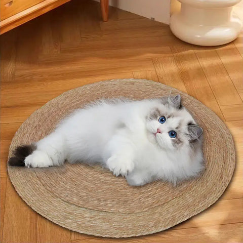 Round woven pet basket with plush interior and natural materials.