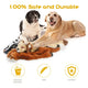 Two happy dogs resting on a pile of safe, durable, and machine-washable stuffingless plush dog toys.