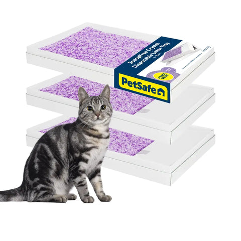 PetSafe ScoopFree Lavender Scented Crystal Litter Trays 3-pack value bundle with cat.