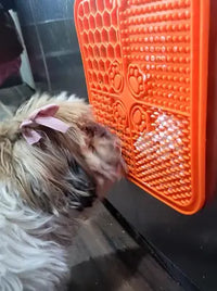 A long-haired Shih Tzu puppy wearing a pink hair bow licking cream cheese from an orange slow feeder mat attached vertically to an appliance.