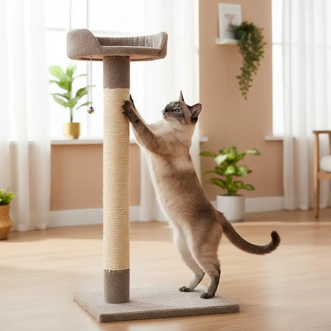 Siamese cat stretching vertically on sisal scratching post with integrated climbing platform, showing need for climbing towers for Siamese cats in modern home