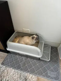 Seal point Siamese cat sitting in grey hooded litter box on top of a textured grey litter mat