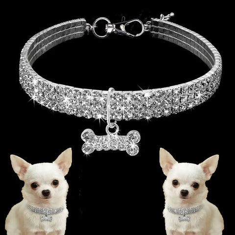 Silver rhinestone dog collar with bone charm on black with dogs.
