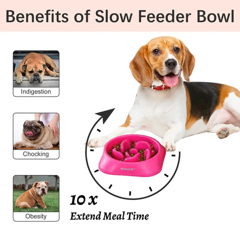 Infographic showing benefits of a slow feeder dog bowl for preventing indigestion, choking, and obesity in dogs.