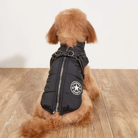 Small dog wearing a black puffer vest with a logo on a wooden floor.
