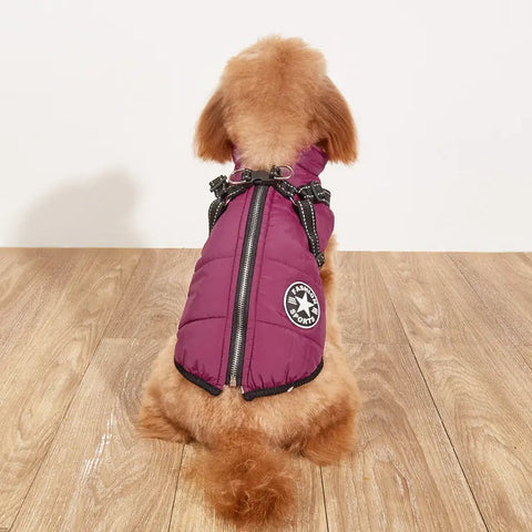 Small dog wearing a purple puffer vest with brand logo on wooden floor.