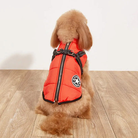 Small dog wearing a red puffer vest on a wooden floor
