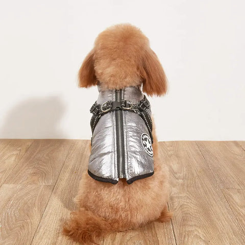Small dog wearing a silver reflective jacket on wooden floor.