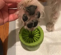 Close-up of a small terrier mix dog having its muddy paw cleaned inside a green silicone pet paw washer.