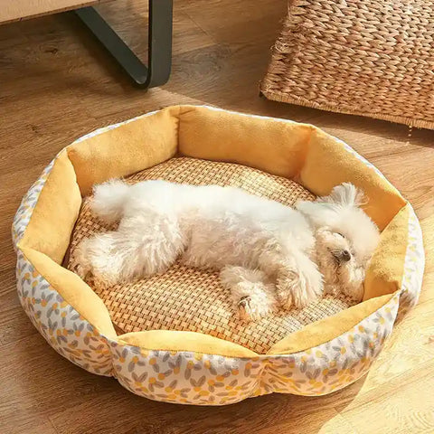 Small white dog lying on yellow and wicker pet bed on wooden floor.