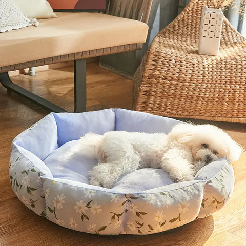 Small white dog resting in floral-patterned pet bed on wooden floor.