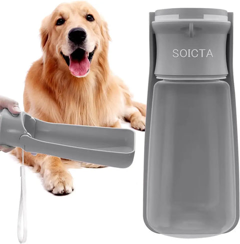 Grey 19 oz Soicta portable dog water bottle held next to a Golden Retriever