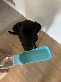 Customer review photo of a lake blue Soicta dog water bottle held in front of a black Labrador