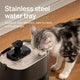 Hygienic stainless steel water tray being used by a silver tabby cat