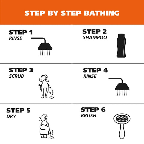 Six step infographic guide for bathing a dog from rinsing and shampooing to drying and brushing