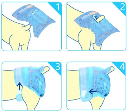 Step-by-step illustration guide on fitting a dog diaper.