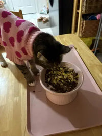 A customer review photo showing a domestic shorthair tabby cat wearing a pink knitted sweater with red hearts, eating wet food from an elevated pink ceramic pet bowl placed on a silicone feeding mat.