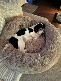 Customer review photo of a black and white beagle mix curled up in a plush taupe calming donut dog bed