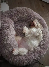 Customer review photo of a small white Maltese lying on its back inside a soft taupe plush donut pet bed