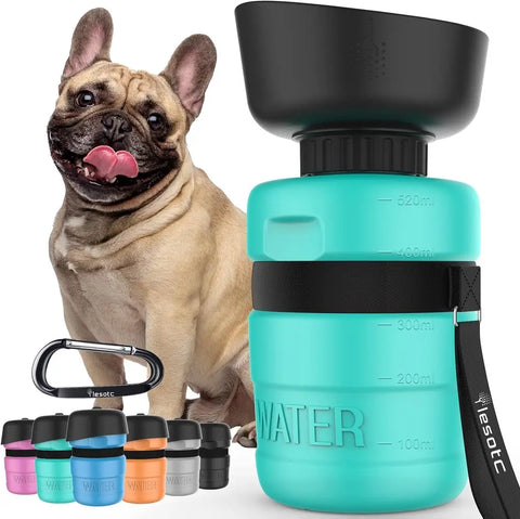 Teal blue portable dog water bottle with integrated squeeze bowl bowl next to a French Bulldog