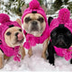 Three dogs wearing pink knitted hats and scarves standing in snow.