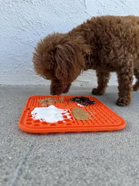 A small brown curly-haired Toy Poodle puppy enjoying healthy toppings like yogurt and peanut butter spread across a quadrant-designed orange silicone lick mat.