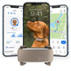 Brown Tractive GPS tracker paired with smartphone screens displaying dog profile, live map tracking, and daily activity time.