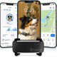 Black Tractive GPS tracker for dogs displayed in front of smartphones showing activity monitoring, live map tracking, and health stats.