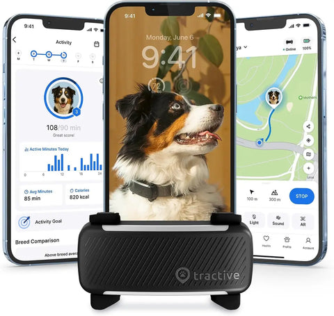 Black Tractive GPS tracker for dogs displayed in front of smartphones showing activity monitoring, live map tracking, and health stats.