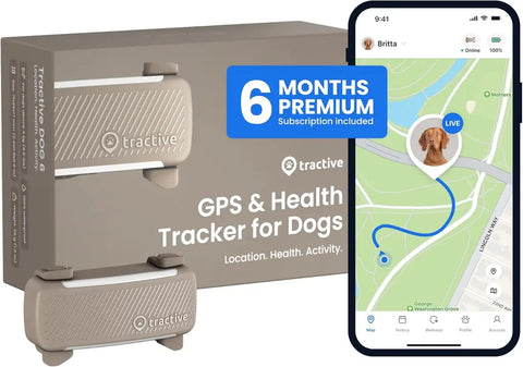 Brown Tractive GPS & Health Tracker for Dogs with packaging box and 6 months premium subscription badge alongside mobile app live tracking screen.
