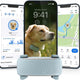 Light blue Tractive GPS tracker unit sitting in front of mobile screens illustrating daily dog activity goals, map location, and breed comparisons.