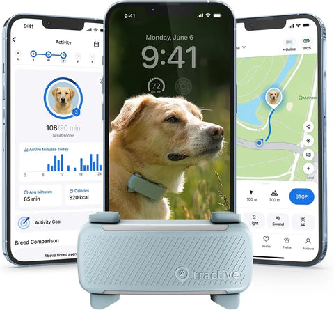 Light blue Tractive GPS tracker unit sitting in front of mobile screens illustrating daily dog activity goals, map location, and breed comparisons.