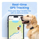 Golden Retriever wearing a Tractive collar tracker next to a smartphone showing real-time GPS tracking with unlimited distance location mapping.