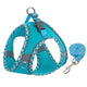 Turquoise dog harness and leash set on a white background