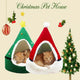 Two cats in Christmas-themed pet beds with decorated Christmas tree.