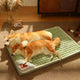 Two dogs lying on green pet bed with heart-shaped cushion in cozy room.
