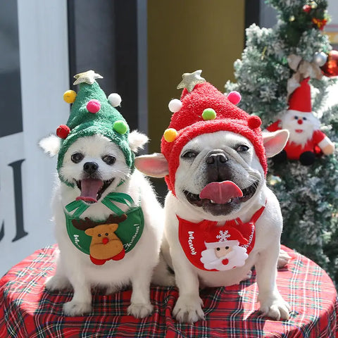 Two dogs wearing Christmas-themed hats and scarves in front of tree.