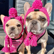 Two dogs wearing pink beanies with pom-poms on a street.