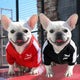 Two French Bulldogs wearing Puma hoodies, red and black/white.