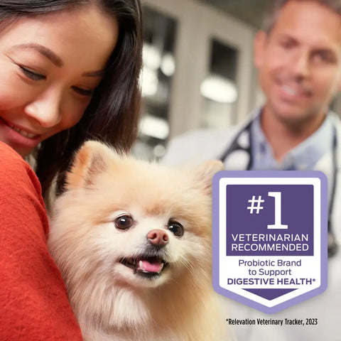 Happy pet owner holding a small dog in a clinic with a veterinarian in the background, featuring a badge for the number one veterinarian recommended probiotic brand for canine digestive health.