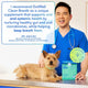 Dr. Dan Su, Board Certified Veterinary Nutritionist, recommending Native Pet GutWell Clean Breath for dog oral and systemic health.
