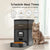 Black Voluas automatic cat feeder displaying scheduling features alongside a tabby cat.