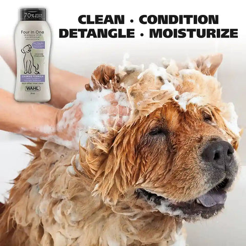 Golden retriever dog being washed with lather using Wahl 4 in 1 calming formula dog shampoo