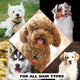 Collage of various dog breeds including poodle husky and terrier illustrating shampoo suitability for all hair types