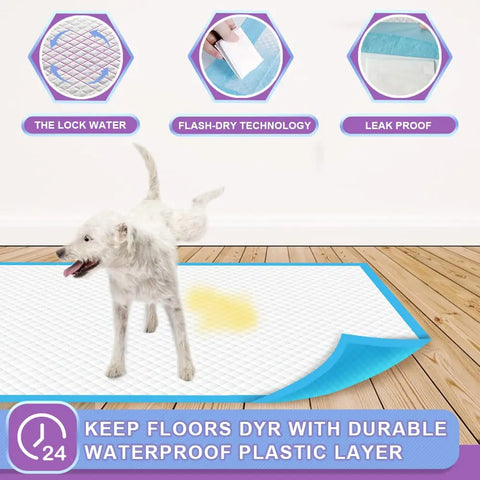 Puppy using a training pad on a wooden floor, highlighting features like locked water, flash-dry technology, and leak-proof backing.