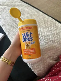A close-up view of a customer holding a canister of Wet Ones for Pets antibacterial multi-purpose wipes with aloe vera.