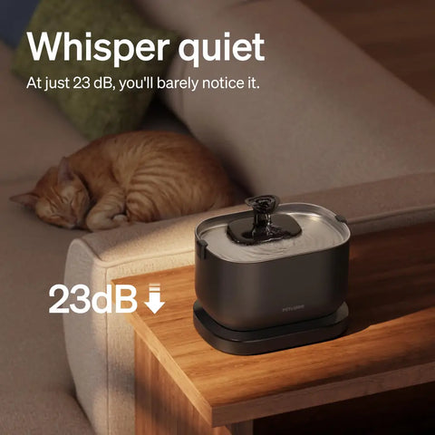 Ultra-quiet 23dB pet water fountain on a side table next to a sleeping ginger tabby cat